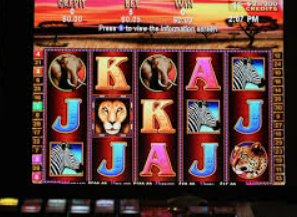 333体育官网下载2024最新版