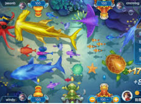 333体育官网下载免费版